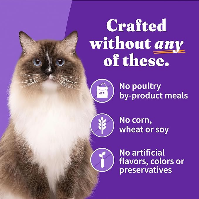 Halo Wet Cat Food Variety Pack, Three Canned Wet Cat Pate, Chicken, Turkey &amp; Whitefish, 5.5 Oz Can (Pack of 12)