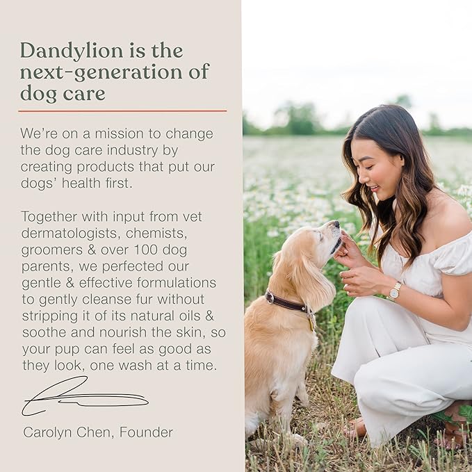Dandylion Clean Paws | No-Rinse Dog Paw Cleaner &amp; Puppy Paw Washer | Gentle, Fragrance-Free, pH Balanced Foaming Cleanser with Silicone Bristle Brush | Safe for All Dogs | 5 fl oz