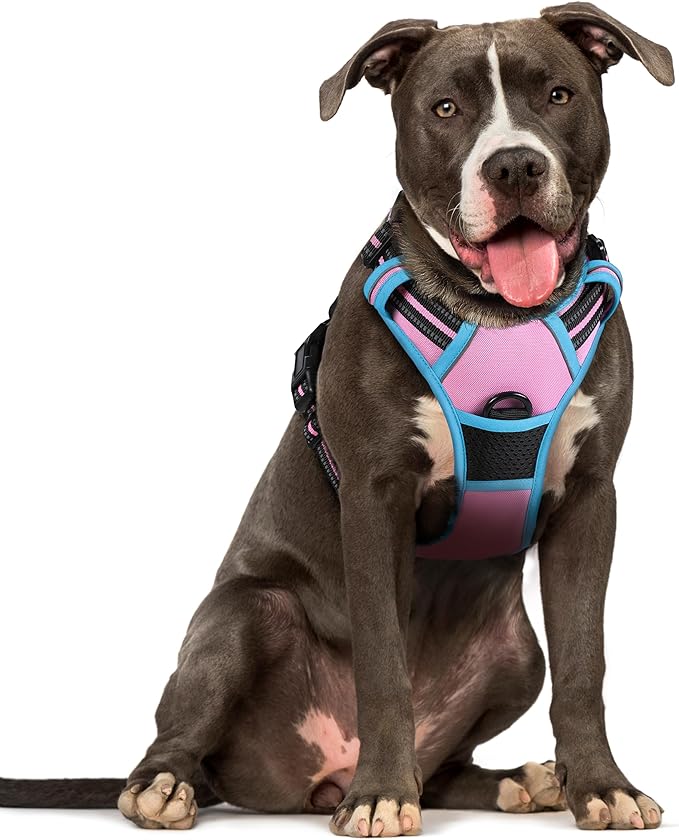 rabbitgoo Dog Harness No Pull with 2 Leash Clips, Adjustable Soft Padded, Reflective Oxford No Choke Pet Vest with Easy Control Handle for Large Dogs, Pink &amp; Blue, L