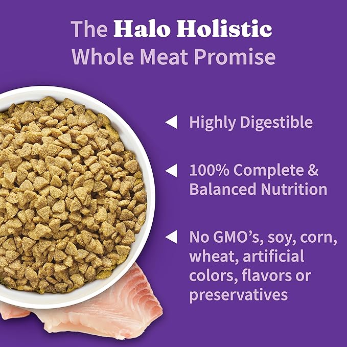 Halo Holistic Cat Food Wild Caught Salmon &amp; Whitefish Formula, Healthy Grains Dry Cat Food, For Sensitive Stomach Support, Kibble for Adult Cats, 6 lb Bag