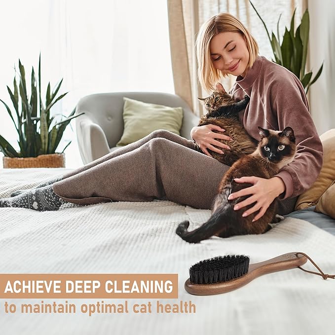 Takavu Boar Bristle Cat Hair Brush, Gentle Grooming Brush with Natural Bristles and Wooden Handle for Sensitive Skin, Pet Cleaning Supplies Keeping Your Cat&