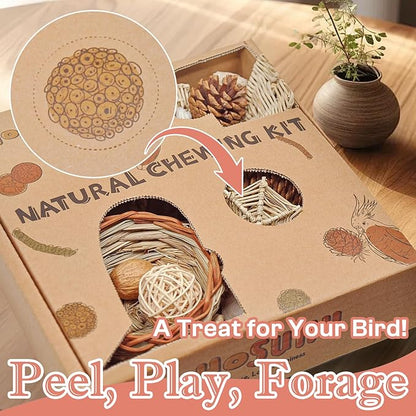 Natural Bird Foraging &amp; Shredding Toys Box - Handmade Rattan Chewing Toys for Parakeets, Cockatiels, Conures, Lovebirds &amp; Small to Medium Birds