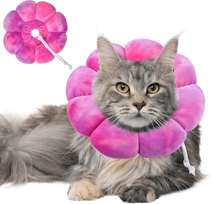 Dog Cat Surgical Recovery Cone, Pet Protective Collar, Soft Neck Cone to Stop Licking Wound for Cats &amp; Kittens, Small Dogs After Surgery