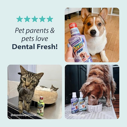 Dental Fresh Water Additive for Dogs, Original Formula, 8oz – Cat &amp; Dog Breath Freshener and Teeth Cleaning for Dental Care for Pets – Add to Water
