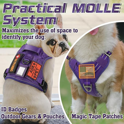 rabbitgoo Tactical Dog Harness for Small Dogs, No Pull Military Service Vest with Handle &amp; Molle, Easy Control for Training Walking, Adjustable Reflective Straps, Purple, S