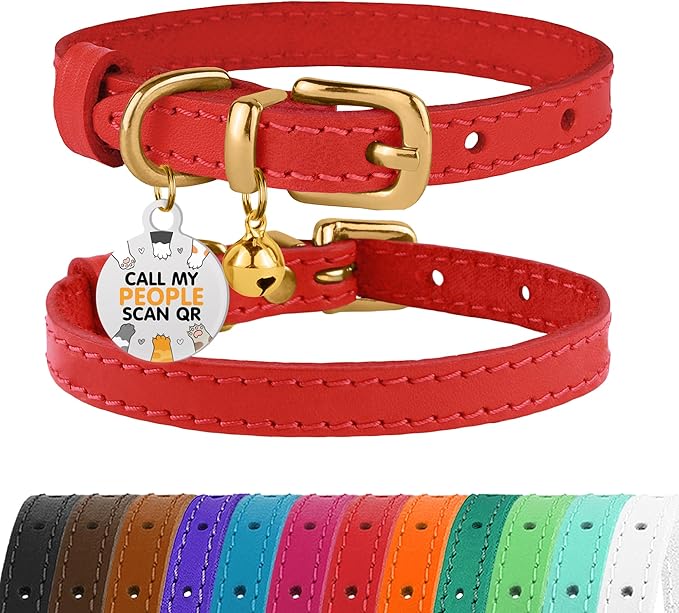 BRONZEDOG Leather Cat Collar with Removable Bells Non Breakaway Kitten QR Tag for Girl Boy (7" - 9" for Cats, Red &amp; Gold)
