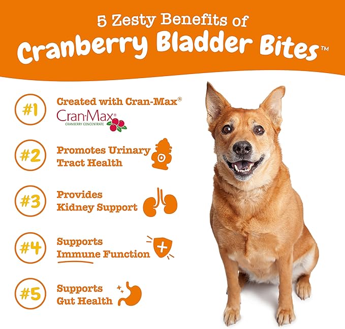 Zesty Paws Cranberry Supplement for Dogs - Bladder Control for Dogs - Urinary Tract Support - Cranberry Chews with D-Mannose, Vitamin B6 &amp; L-Arginine - Immune &amp; Gut Support - Bacon - 90 Count