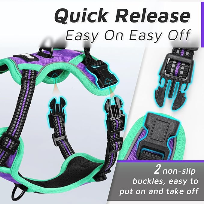 Eagloo Small Dog Harness No Pull, Service Vest with Reflective Strips and Control Handle, Adjustable and Comfortable for Walking, No Choke Pet Harness with 2 Metal Rings, Purple &amp; Green, XS