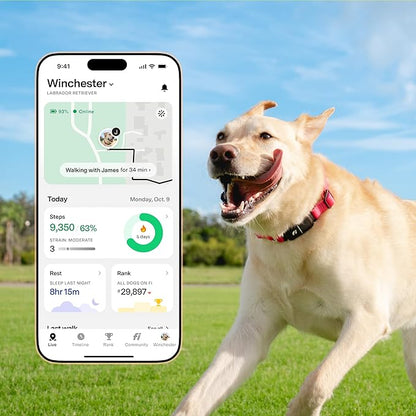 New Fi Series 3+ Smart Dog Tracker Collar – AI GPS for Dogs, Health &amp; Behavior Monitor, Virtual Fence, Escape Alerts, Waterproof, Apple Watch Compatible 12Mo Membership Included