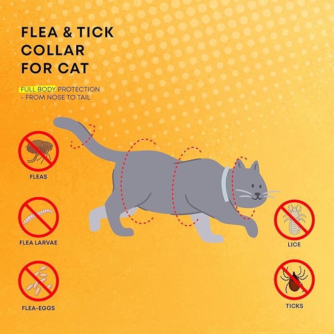 Flea and Tick Prevention Collars for Cats: Effective Pet Flea &amp; Tick Treatment for Cats - Waterproof Adjustable Flea Tick Collars for Large &amp; Small Cat, Outdoor Fleas Ticks Control for Kittens 4 Pack