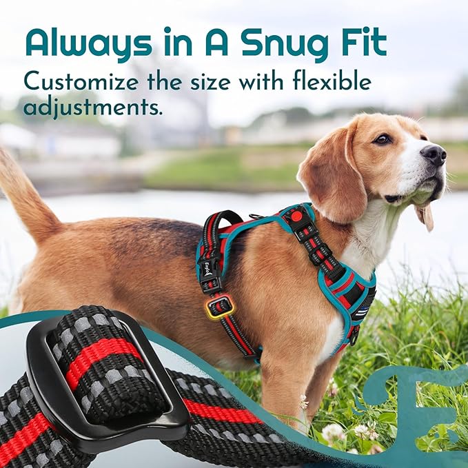 Eagloo Dog Harness for Large Dogs, Easy Wearing with 3 Buckles, Adjustable No Pull Pet Harness with 2 Rings for Walking, No Chock Reflective Soft Padded Vest with Control Handle, Red &amp; Teal, L