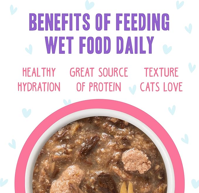Weruva B.F.F. OMG - Best Feline Friend Oh My Gravy!, Date Nite! with Duck &amp; Salmon in Gravy Cat Food, 2.8oz Pouch (Pack of 12)