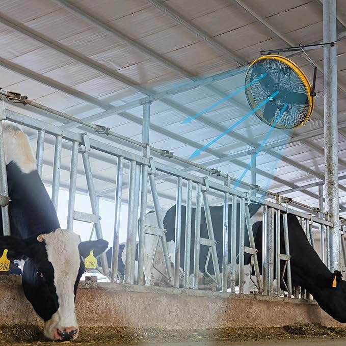 CAT 30 Inch Outdoor IPX4 Weatherproof High Velocity Wall Mounted Shroud Fan. 8900 CFM, 3 Speed - For Industrial, Commercial, &amp; Residential Use. cETL Certified