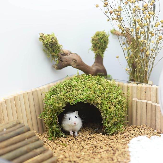 Hamster Hideout - Large, Natural Moss, Handcrafted for Syrian Hamsters, Rats &amp; Guinea Pigs, Safe &amp; Eco-Friendly