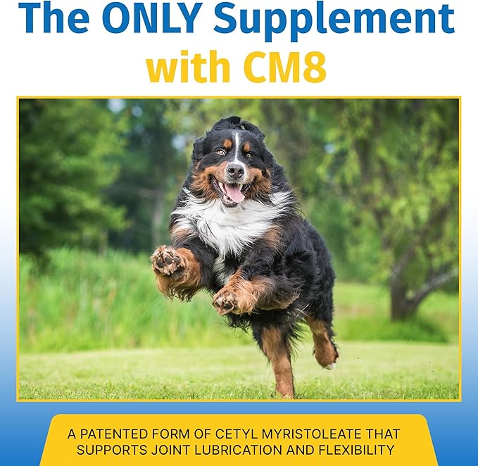 Hip &amp; Joint Supplement for Dogs &amp; Cats with Cetyl Myristoleate, Glucosamine, Collagen, MSM - Advanced Joint Support for Mobility, Senior Pets, Small &amp; Large Breeds - 60 Chews (Pork Liver)