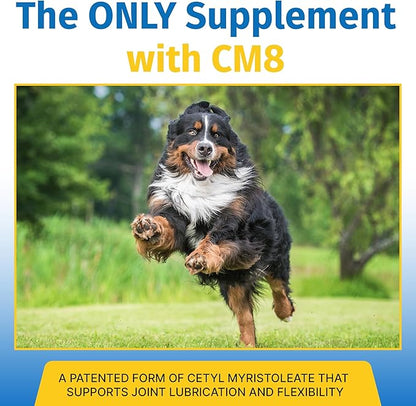 Hip &amp; Joint Supplement for Dogs &amp; Cats with Cetyl Myristoleate, Glucosamine, Collagen, MSM - Advanced Joint Support for Mobility, Senior Pets, Small &amp; Large Breeds - 60 Chews (Pork Liver)