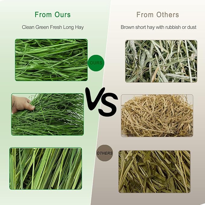Timothy Hay 1.1LB - Dust Free Natural Green Fresh Food Hay for Rabbits Tortoise Guinea Pig Chinchilla