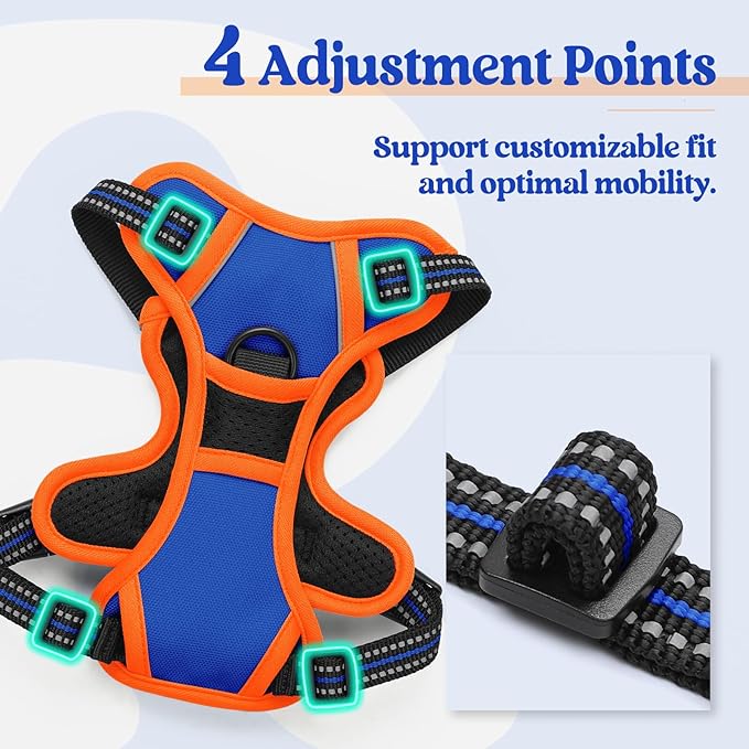 rabbitgoo Dog Harness No Pull with 2 Leash Clips, Adjustable Soft Padded, Reflective Oxford No Choke Pet Vest with Easy Control Handle for Puppy, Blue &amp; Orange, XS