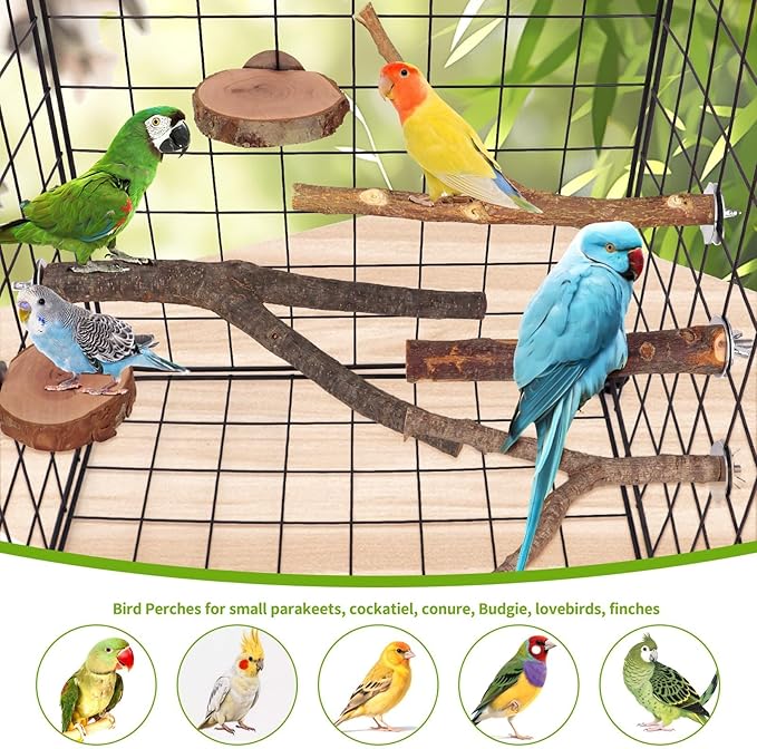 Natural Wood Bird Perches for Cage, Parrot Perch Stand &amp; Platform, Bird Cage Accessories for Parakeets, Cockatiels, Conures, Lovebirds (Brown, Deluxe Playground Set - 12PCS)