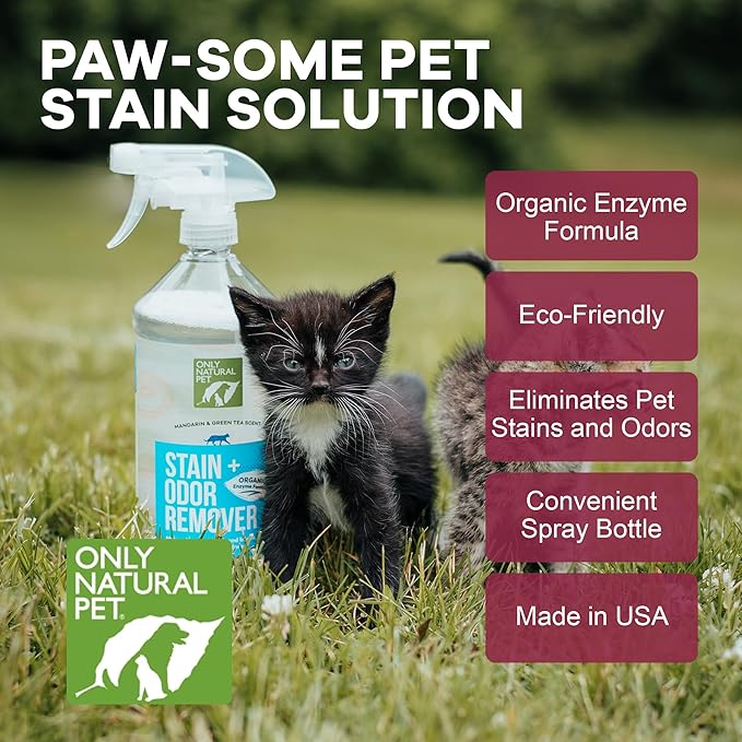 Only Natural Pet Enzyme Powered Stain &amp; Odor Eliminator - Professional Pet Urine Pee Cleaner Deodorizer for Cats - Hardwood Floors Carpets Upholstery - Fresh Mandarin Orange &amp; Green Tea Scent 32Floz