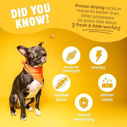 Freeze Dried Dog Treats - Wild Caught Salmon - Dog Food Dry Snacks - with Protein &amp; Omega 3s - for All Breeds &amp; Sizes - No Artificial Flavors &amp; Dyes, No Preservatives - 1 Pouch, 4 oz