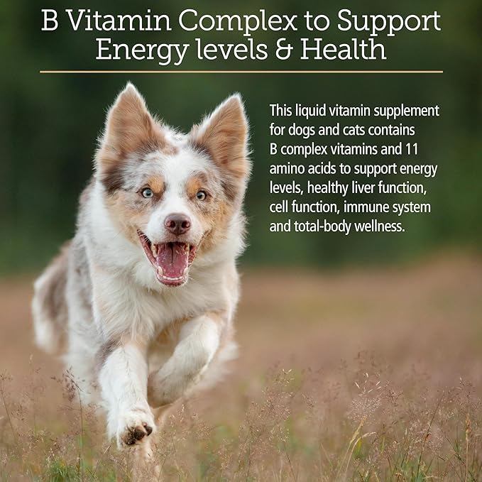 Rx Vitamins Amino B Plex Cat &amp; Dog Supplement - Vitamin B Complex Liquid Plus Amino Acids for Dogs &amp; Cats - Appetite Booster and Weight Gainer Cat &amp; Dog Vitamins - 2 oz