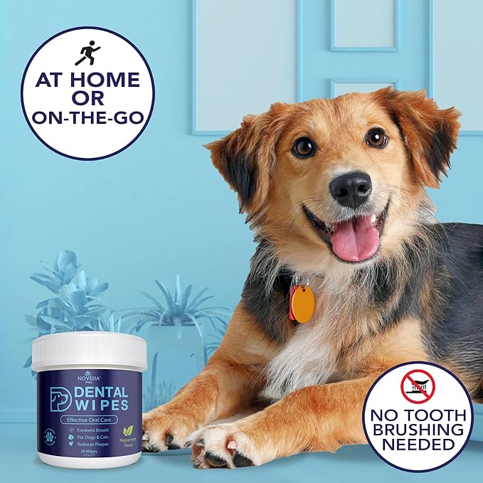 NOVEHA Pets Dental Finger Wipes for Dogs &amp; Cats | Freshens Breath, Reduces Plaque | Healthier Gums | Clean Teeth No Toothbrush | Vet Recommended Effective Natural Oral Care (100 pcs, Mint)