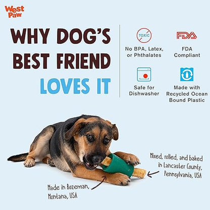 WEST PAW Funnl Dog Chew Toy - Interactive Treat Toys for Dogs - Toy Fillable with Earth Animal No-Hide Chews - Large 4.25" Kelp | Made in USA