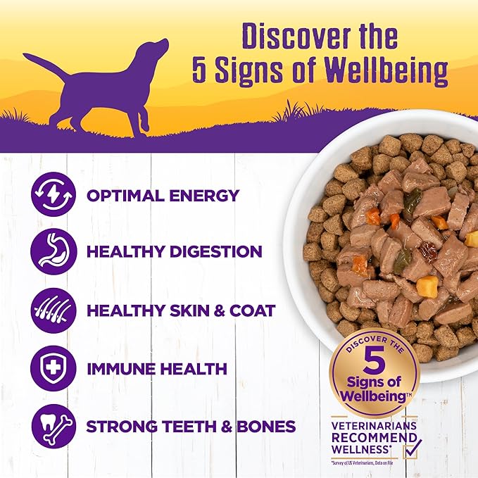 Wellness Complete Health Thick &amp; Chunky Natural Grain Free Canned Wet Dog Food, Turkey &amp; Duck Stew, 12.5-Ounce Can (Pack of 12)