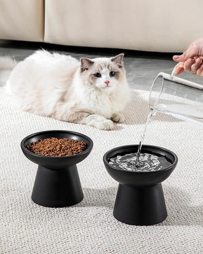 vancasso Ceramic Elevated Cat Bowls 2-Pack - 6.2" Extra Wide Raised Cat Food &amp; Water Dishes, 5.1" Optimal Height Anti-Whisker Fatigue Shallow Bowls for Cats/Kittens/Dogs, Lead &amp; Cadmium Free (Black)