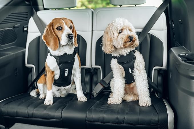 Thule Cappy Dog Harness L - Crash-Tested for Safety - Seatbelt passthrough - Adjustable &amp; Easy to Clean - Padded Breathable mesh Panels - Leash Loop - Step-in Design