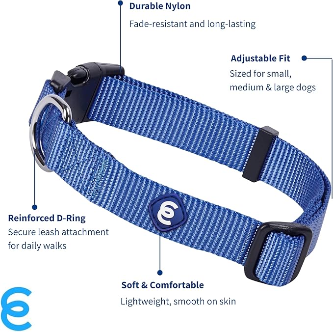 Blueberry Pet Essentials Medium Dog Collar in Marina Blue | Adjustable &amp; Eco-Friendly Durable Nylon Strap | Classic Collar for Medium Dogs, Boy &amp; Girl Pets
