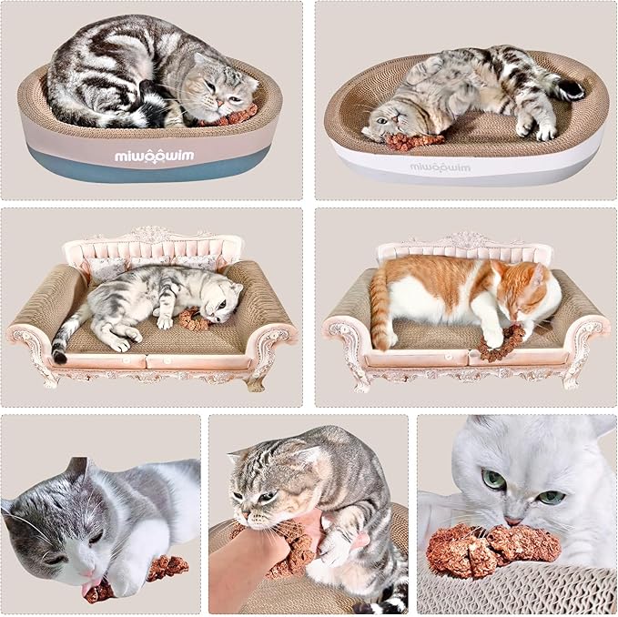 Natural Silvervine Gall Fruit Cat-Attracting Bracelet,Interactive Cat Toy for Indoor Cats,Cat Chew Toy with Gallfruit | Catnip &amp; Silvervine Alternative, Stress Relief &amp; Gift