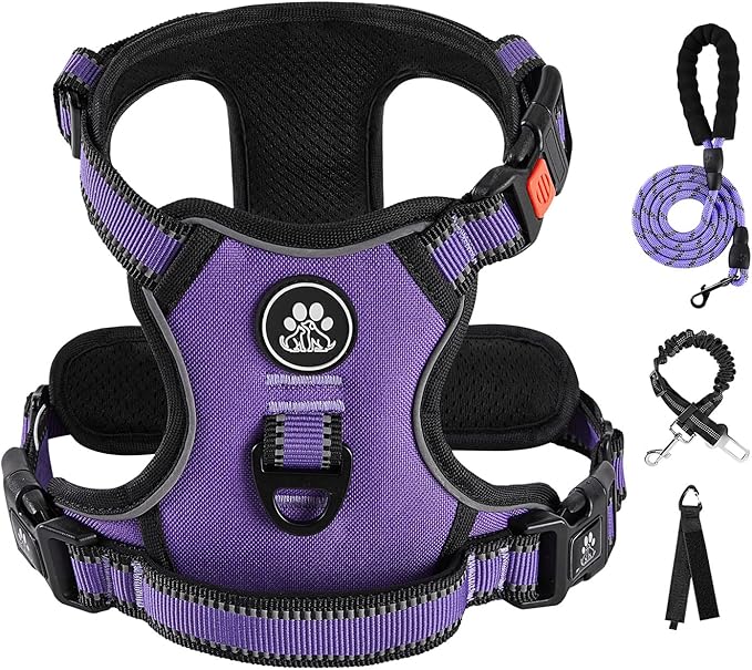 IVY&amp;LANE No Pull Dog Harness for Medium Dogs, Dog Vest Harness with Leash, Safety Belt and Storage Strap, Fully Adjustable Harness, 360° Reflective Strip, Soft Handle (Purple, M)