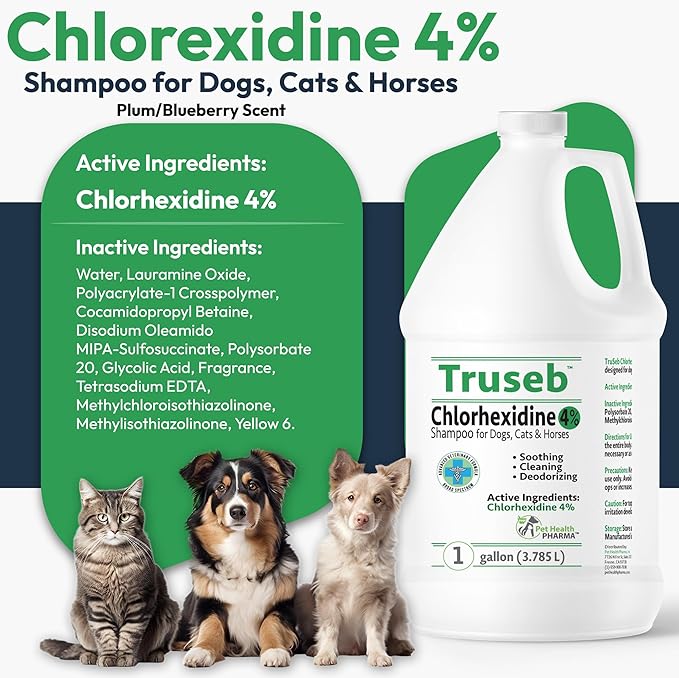 Topical Chlorhexidine 4% Shampoo for Dogs, Cats &amp; Horses (Gallon)- with Aloe for Cleansing (USA) (Chlorhexidine 4% Shampoo, 1 Gallon)