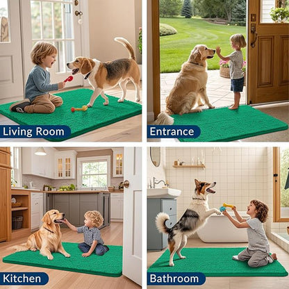 Smiry Dog Door Mat for Muddy Paws 30x20, Absorbs Moisture and Dirt Doormat, Non-Slip Washable Quick Dry Chenille Front Door Mat Indoor Entrance, Entryway Carpet for Inside Floor, Emerald Green