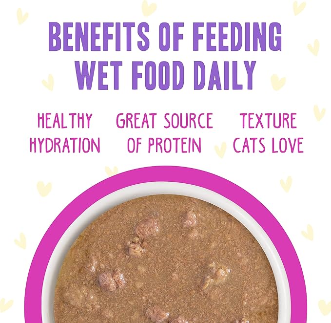 Weruva B.F.F. OMG - Best Feline Friend Oh My Gravy!, Chicken &amp; Duck Dream Team with Chicken &amp; Duck in Gravy, 5.5oz Can (Pack of 8)