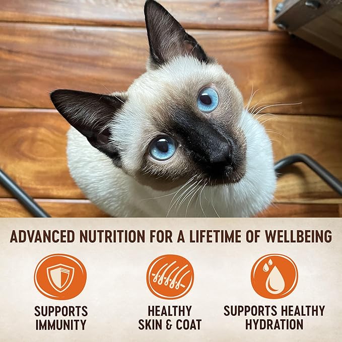 Wellness CORE Tiny Tasters Pate Adult Wet Cat Food, Natural, Protein-Rich, Grain Free, 1.75 Ounce Pouch, 12 Pack (Chicken &amp; Turkey)
