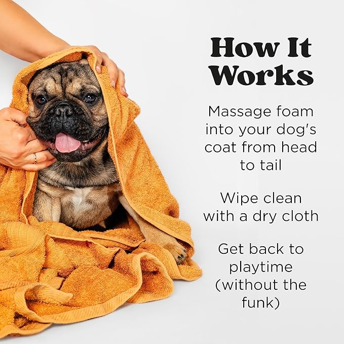 Poo-Pourri Rinse-Free Deodorizing Dry Shampoo for Dogs &amp; Cats – Moisturizing Skin &amp; Coat Soothing Formula - Plant Based Ingredients – Pineapple, Jasmine &amp; Pear – No Rinse Foam Shampoo for Pet Odor