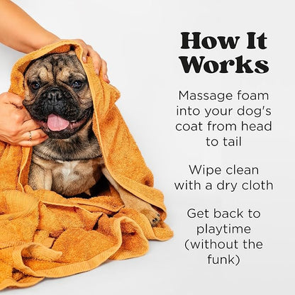 Poo-Pourri Rinse-Free Deodorizing Dry Shampoo for Dogs &amp; Cats – Moisturizing Skin &amp; Coat Soothing Formula - Plant Based Ingredients – Pineapple, Jasmine &amp; Pear – No Rinse Foam Shampoo for Pet Odor