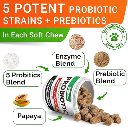 STRELLALAB Pet Probiotics for Dogs &amp; Digestive Enzymes + Digestion &amp; Gut Health Treats, Dog Probiotics Chews, Fiber Supplement, Anti Diarrhea, Constipation, Upset Stomach&amp;Gas Relief, Canine Prebiotic