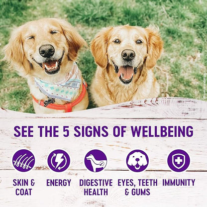 Wellness Wet Canned Dog Food, Pate Variety Pack, 12.5 Ounce Can (Pack of 6)