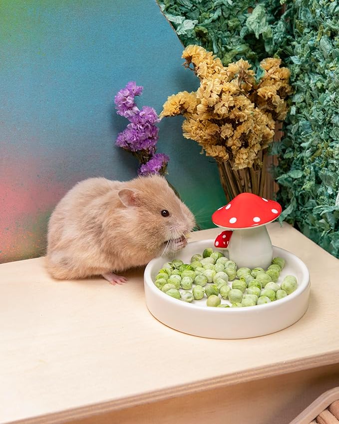 Niteangel Hamster Snack &amp; Treats Toy - Small Animal Natural Treat for Dwarf Syrian Robo Hamsters Gerbils Mice Lemmings Degus or Other Small-Sized Pets