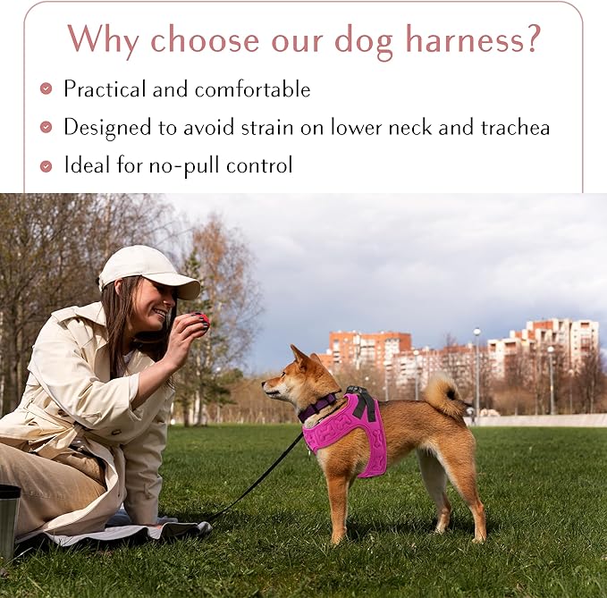 Comfort Fit Dog Harness Soft Padded No Pull Harness with Adjustable Buckles for Small Medium Large Dogs Step in Pet Vest with Easy Control Handle for Walking Jogging Running Training Dogs &amp; Puppies