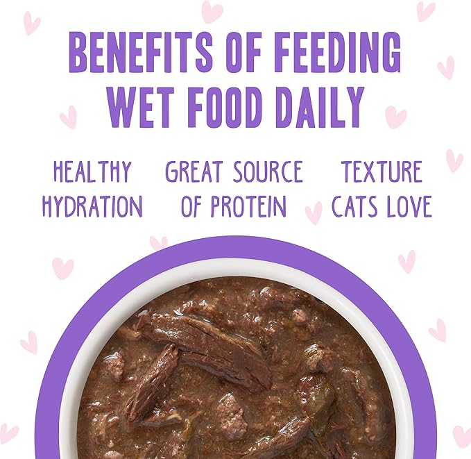 Weruva B.F.OMG - Best Feline Friend Oh My Gravy!, Tuna &amp; Beef Baby Cakes with Tuna &amp; Beef in Gravy Cat Food, 3oz Pouch (Pack of 12), Purple (0152)