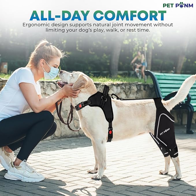 Petpanm- Adjustable Dog Knee Brace- Right Hind Leg with Integreted Harness- Premium Support for Torn ACL, Sprains &amp; Strains Recovery, Enhances Mobility, Comfortable Neoprene. (Medium)