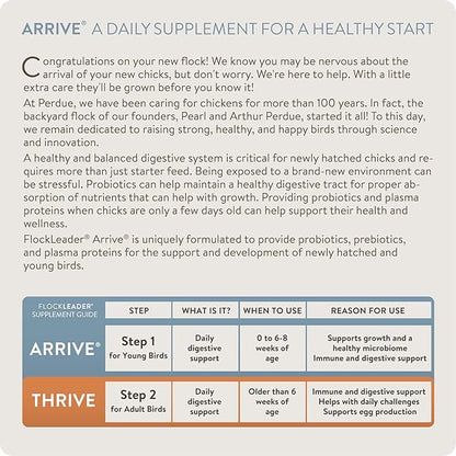 Arrive, Daily Probiotic &amp; Prebiotic Poultry Supplement for Young Chickens 0-8 Weeks Old, 8 oz