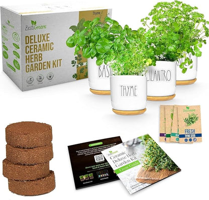 Deluxe Ceramic Indoor Herb Kit 4 Set. Variety Herbs for Indoor &amp; Outdoor – Get Growing with Pots, Potting Soil for Window Herb Garden. (Ceramic Edition)