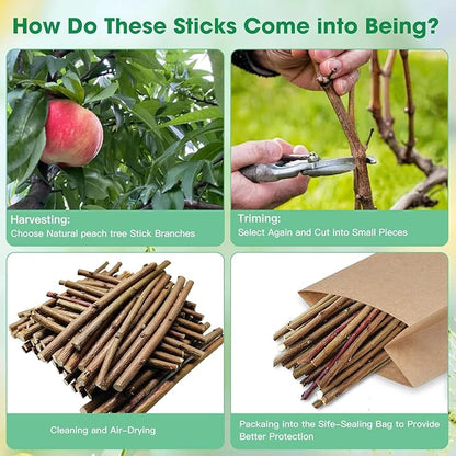250g Natural Peach Wood Chew Sticks for Rabbits, Hamsters, Chinchillas - Extra Hard Teeth Grinding Toy | Untreated, Safe &amp; Long-Lasting Rodent Chews