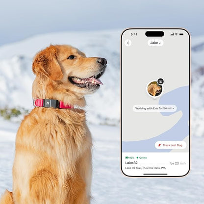 New Fi Series 3+ Smart Dog Tracker Collar – AI GPS for Dogs, Health &amp; Behavior Monitor, Virtual Fence, Escape Alerts, Waterproof, Apple Watch Compatible 12Mo Membership Included